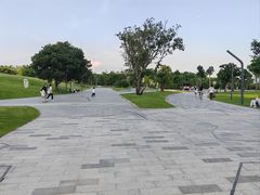 -深圳人才公园