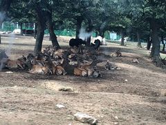 -西安秦岭野生动物园