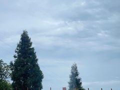 -武陵山森林公园