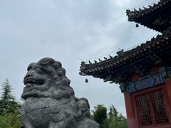 -洛阳白马寺