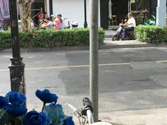 -笃笃笃糖粥(十全街店)
