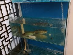 -乾州食府(小雁塔店)