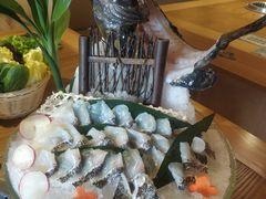 深海龙趸-尚海豆捞(乐虹坊店)