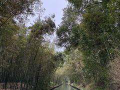 -同里国家湿地公园