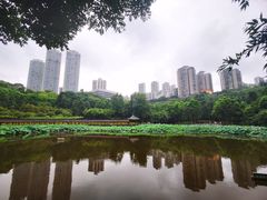-龙头寺公园