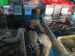 -清水湾3号(东方小周海鲜店)