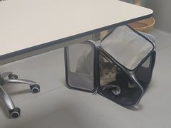 -谐和益家动物医院·免疫绝育·血液透析·宠保定点医院(高新伊藤分院)