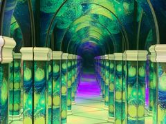 -天津梵高星空艺术馆(天河城旗舰店)