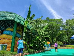 -苏州乐园森林水世界