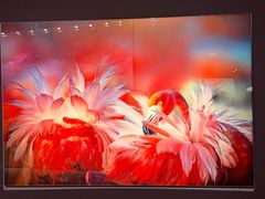 -罗红摄影艺术馆