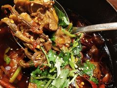 -杨记隆府(南坪店)