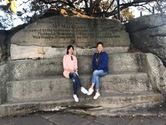 -麦考利夫人座椅