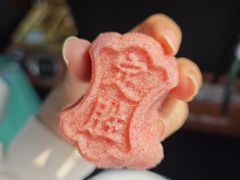 -野荸荠