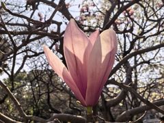 -浙江大学(玉泉校区)