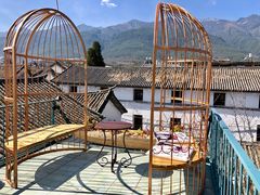 -喵屿·大理花园猫咖