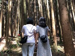 -山王坪喀斯特国家生态公园