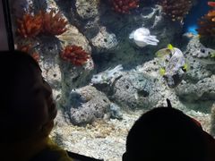 -福州罗源湾海洋世界旅游区