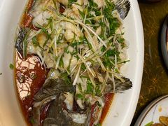 -老江南春·中国龙菜(衡山路店)