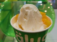 -Salud撒露欧洲冻酸奶(蓝色港湾店)