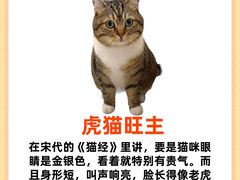 -守诺宠物医院·眼科· 特色牙科·异宠专科(虹口店)