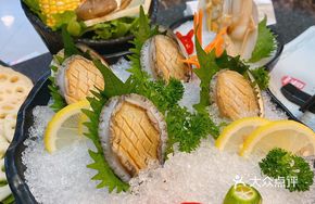 Abalone and Oyster