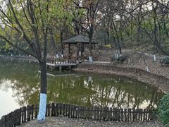 -金陵矩阵(聚宝山公园店)