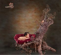 点击看大图 -如意宝贝儿童摄影室