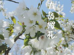 -上海滨江森林公园