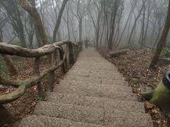 -梧桐山风景名胜区