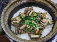 -红星光发煲仔饭(文海店)