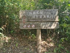 -梧桐山风景名胜区