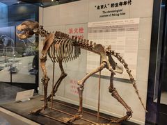-北京周口店北京人遗址博物馆