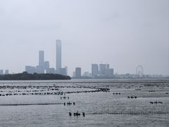 -金鸡湖景区