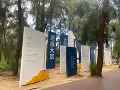 -大京沙滩