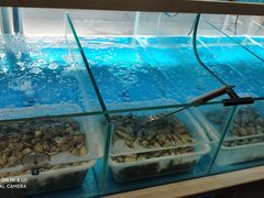 -笨笨甲甲鱼坊(蓝堡湾店)