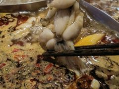 -铭记蛙小仙·活蛙畅享(CBD万达广场店)