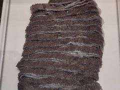 -南门四季铜锅涮肉(大屯·北苑店)