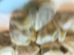 -叁拾壹克饺子·东北菜(国贸店)