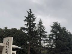 -昆明植物园