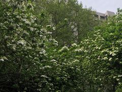 -南京航空航天大学(明故宫校区)