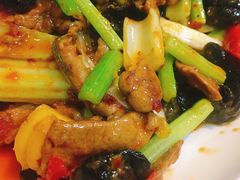 泡椒仔姜鲜牛肝-伊兰麒兰馨园·川菜·清真馆(339电视塔店)