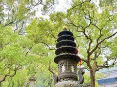 -普陀山风景名胜区-法雨禅寺
