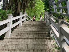 -广州市白云山风景名胜区