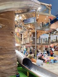 -卡通尼·Safari非洲探索乐园·生日会(金桥国际商业广场店)