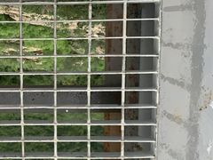 -十渡蹦极俱乐部