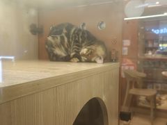 -连城·新天地(福华一路店)