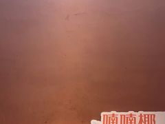 -喃喃椰·糟粕醋·椰子鸡火锅(七堡花园店)