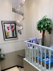 -紫洁俪方（北京）医疗美容