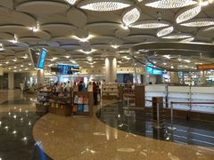 -贾特拉帕蒂·希瓦吉国际机场