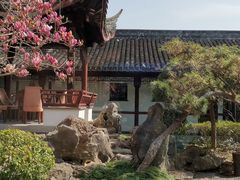 -碧丽宫大酒店(召稼楼店)